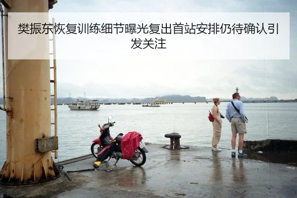 樊振东恢复训练细节曝光复出首站安排仍待确认引发关注
