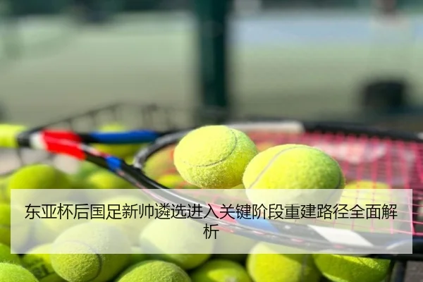 东亚杯后国足新帅遴选进入关键阶段重建路径全面解析