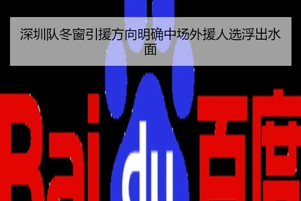 深圳队冬窗引援方向明确中场外援人选浮出水面